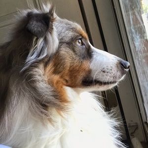 Meet your Posher, Krischielle